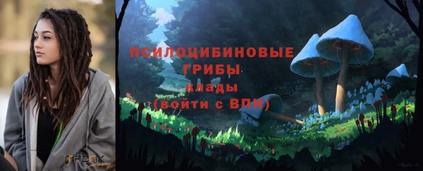 мяу мяу мука Алексеевка