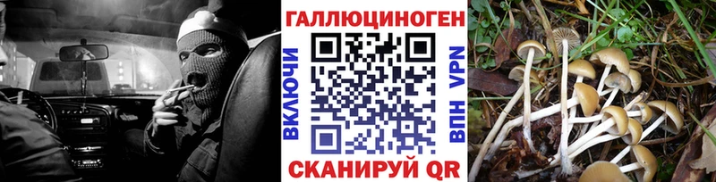 Галлюциногенные грибы MAGIC MUSHROOMS  Холм 